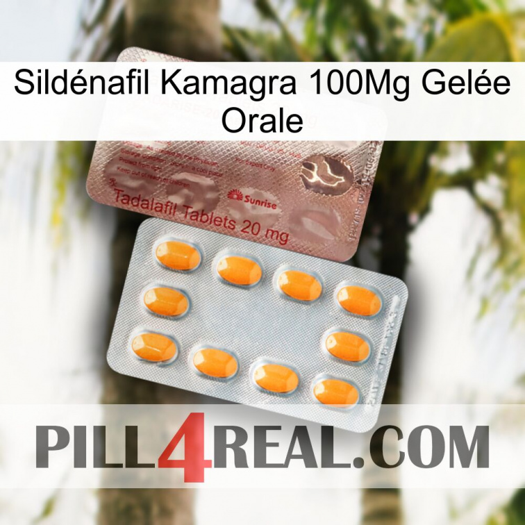 Sildénafil Kamagra 100Mg Gelée Orale new13